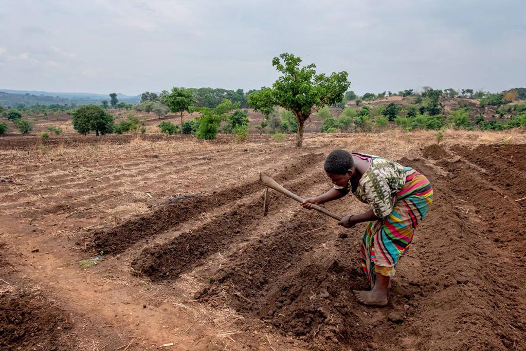 donna lavora la terra