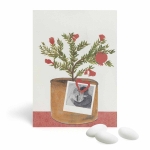 035_2 pergamena foto sposi