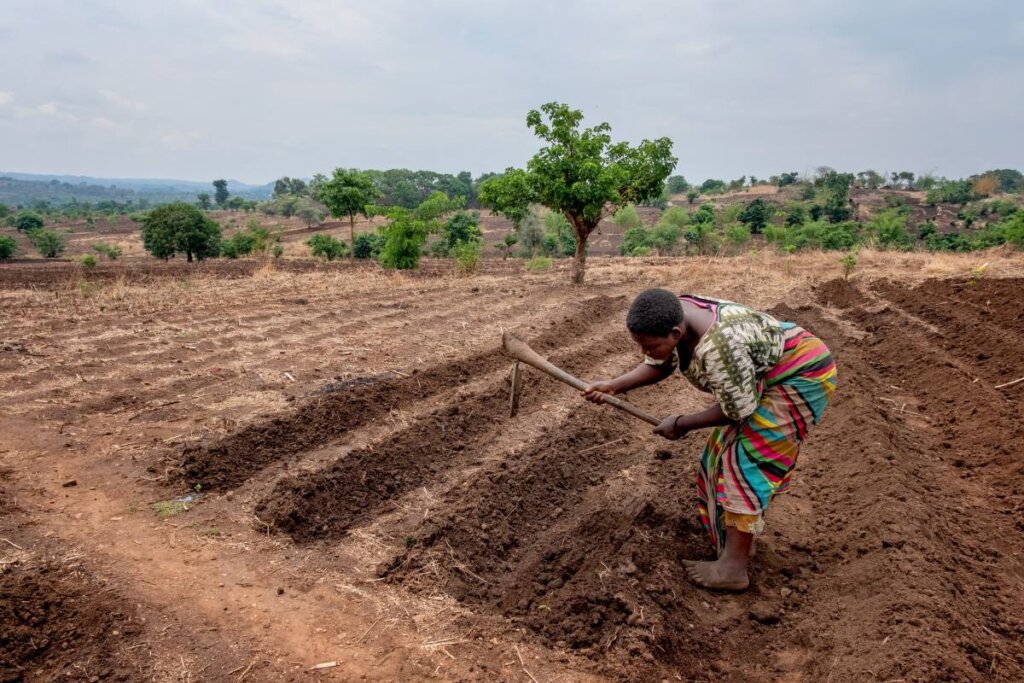 donna lavora la terra in africa