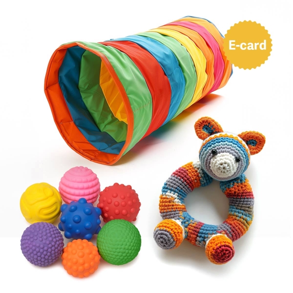 100-001 donazione giochi ruharo