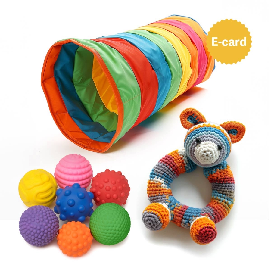 100-001 donazione giochi ruharo