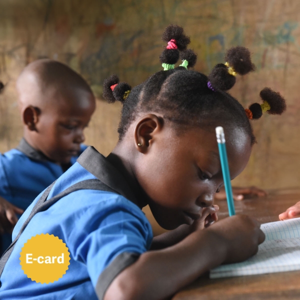 100-005 donazione per scuola accessibile