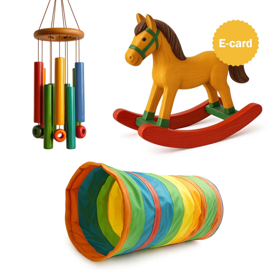 100-002 donazione giochi per il ruharo