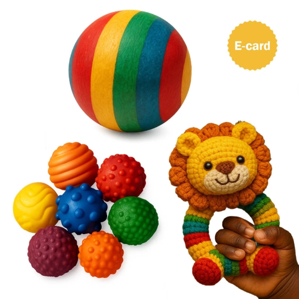 100-001 donazione giochi ruharo