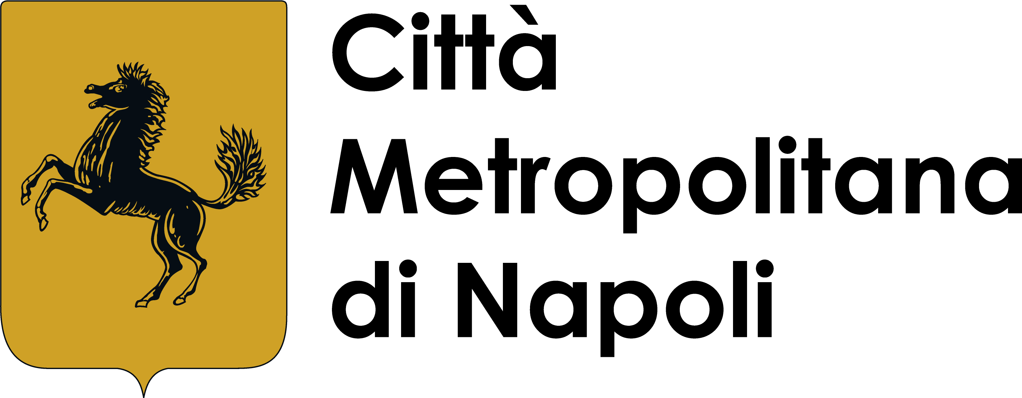 Città Metropolitana di Napoli